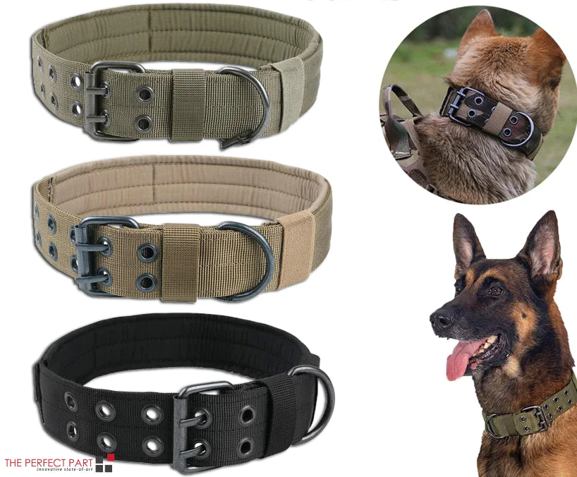 militares grandes de nylon resistentes tácticos anchos del cuello de perro K9 con la hebilla del metal